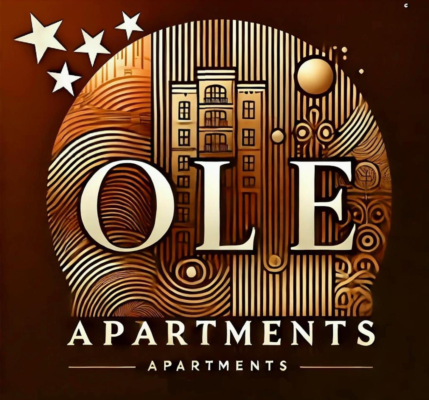 Ole Apartment - Get Your Energy For Free! Coffee And Tea On The House 티미쇼아라 외부 사진